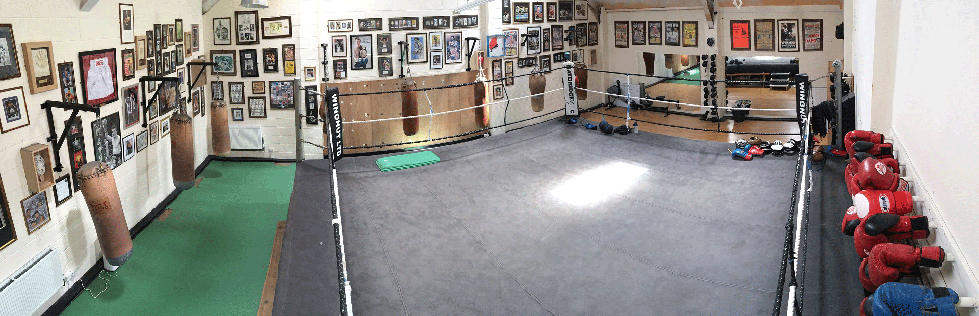 Boxing Ring