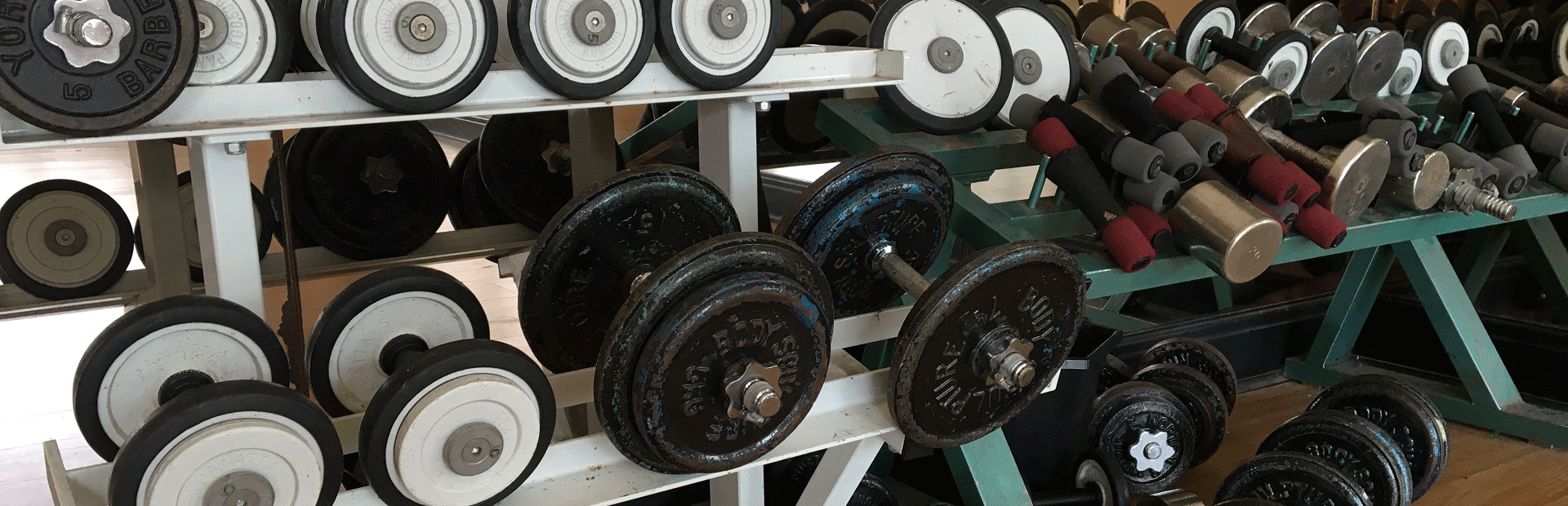 Free Weights
