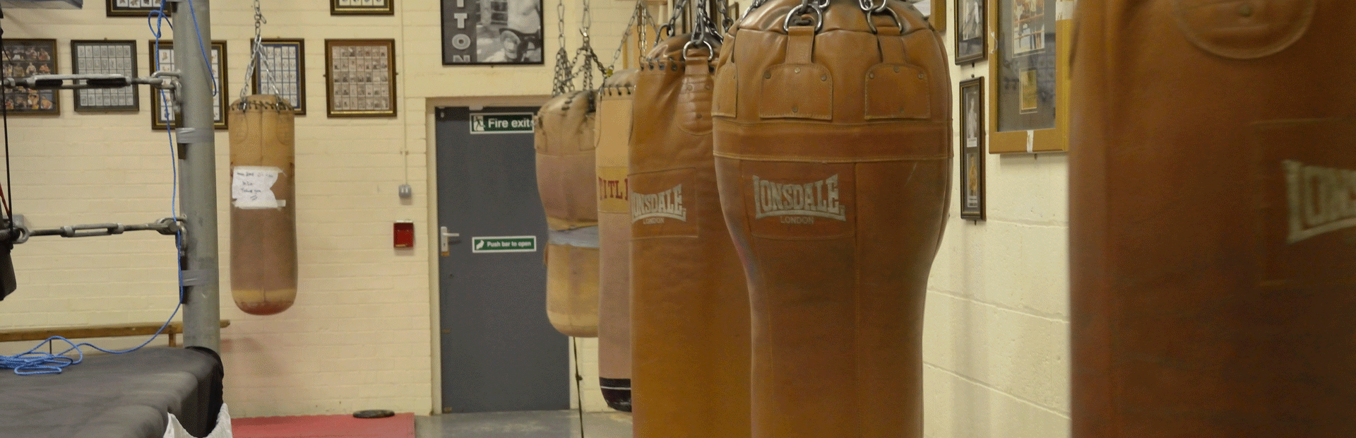 Punch Bags